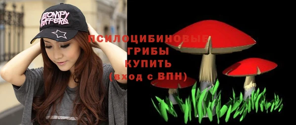 дурь Арсеньев