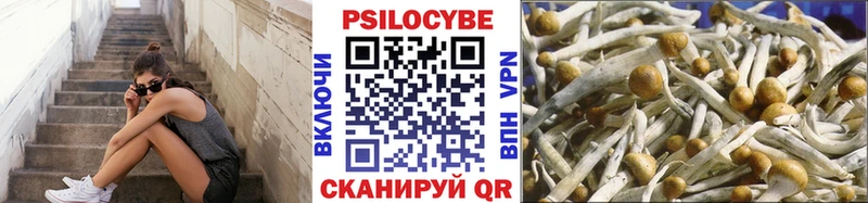 Галлюциногенные грибы прущие грибы Светлоград