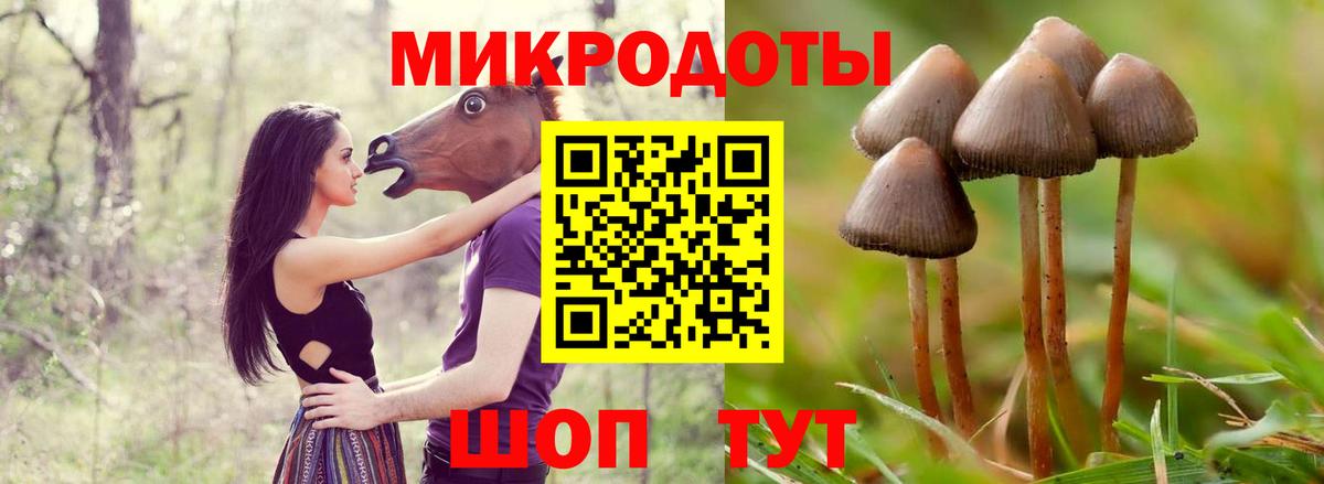 Псилоцибиновые грибы прущие грибы  Вход с VPN  Светлоград  закладки  Псилоцибиновые грибы мицелий 