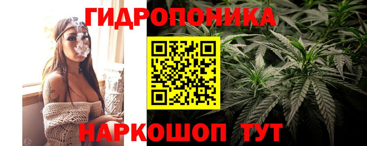 Бошки Шишки планчик  Конопля AK-47  Марихуана AK-47  Светлоград  Вход с VPN  МАРИХУАНА сатива 